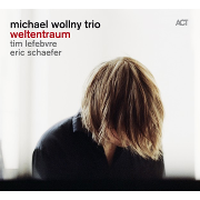 Michael Wollny Trio: Weltentraum Cover