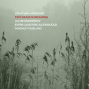 Jonathan Andersen Tiny Grass COVER