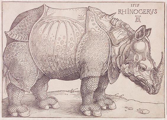 Albrecht Duerer Rinozeros