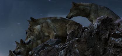 „Der letzte Wolf” – Wenn die Steppe ihre Seele verliert 