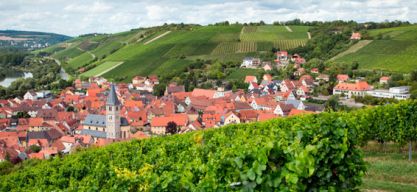 Genießen im Fränkischen Weinland – mit Abstand und zum Mitnehmen